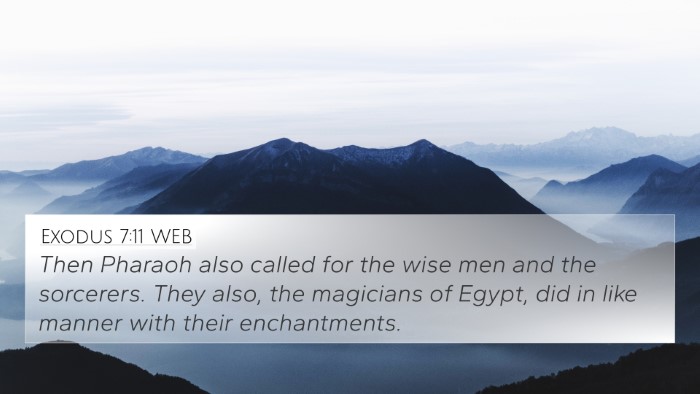 Exodus 7:11 WEB Bible Verse Image