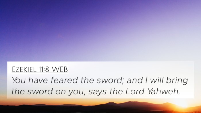 Ezekiel 11:8 WEB Bible Verse Image