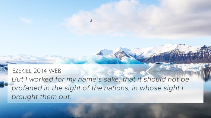 Ezekiel 20:14 WEB Bible Verse Image