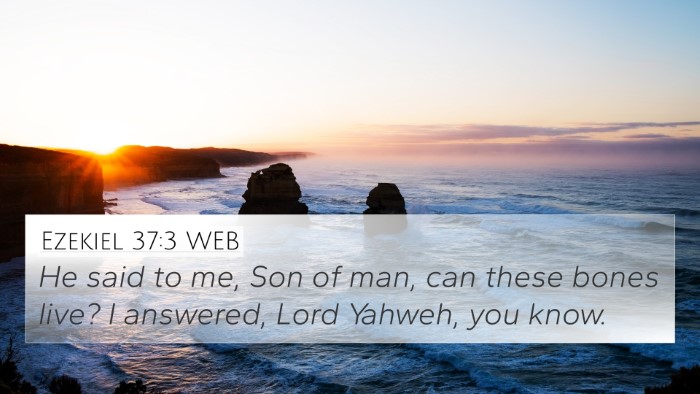 Ezekiel 37:3 WEB Bible Verse Image