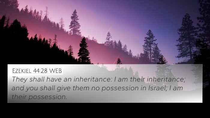 Ezekiel 44:28 WEB Bible Verse Image