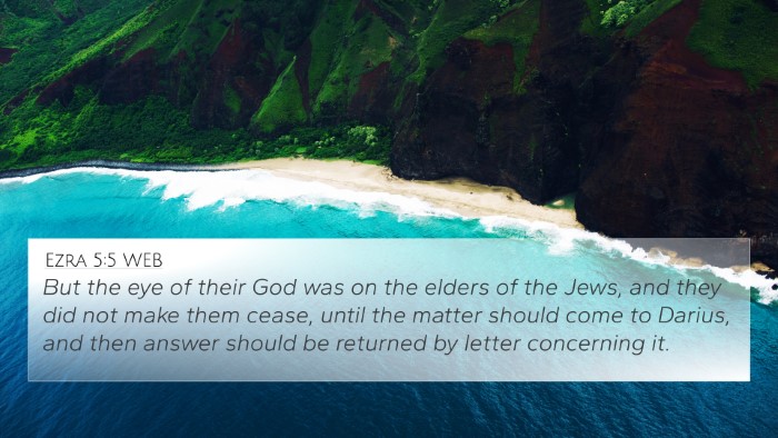 Ezra 5:5 WEB Bible Verse Image