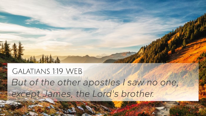 Galatians 1:19 WEB Bible Verse Image