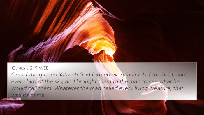 Genesis 2:19 WEB Bible Verse Image
