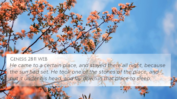 Genesis 28:11 WEB Bible Verse Image