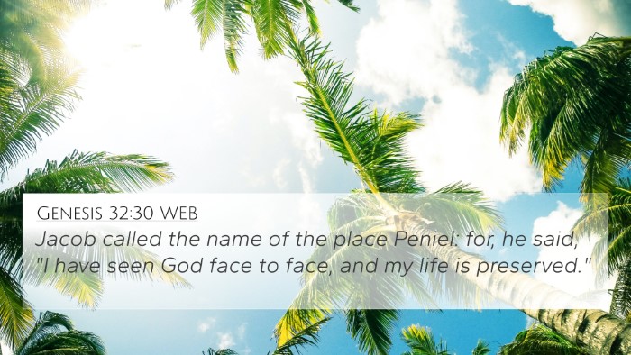 Genesis 32:30 WEB Bible Verse Image