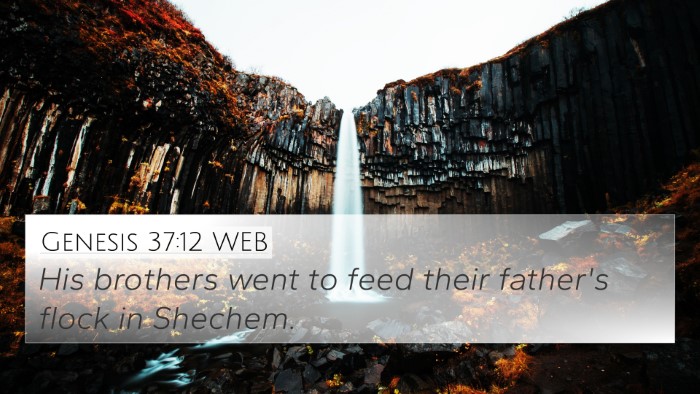 Genesis 37:12 WEB Bible Verse Image