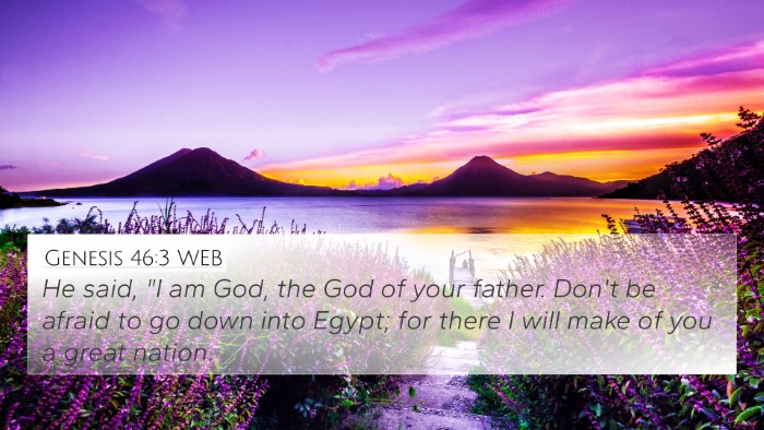 Genesis 46:3 WEB Bible Verse Image