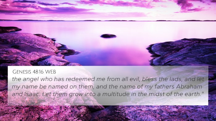 Genesis 48:16 WEB Bible Verse Image