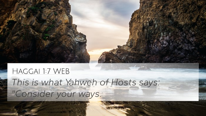 Haggai 1:7 WEB Bible Verse Image