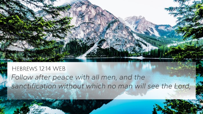 Hebrews 12:14 WEB Bible Verse Image