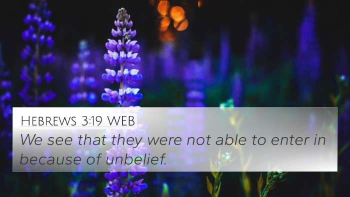 Hebrews 3:19 WEB 4K Wallpaper - We see that they were not able to enter in - 4K Wallpaper Bible Verse