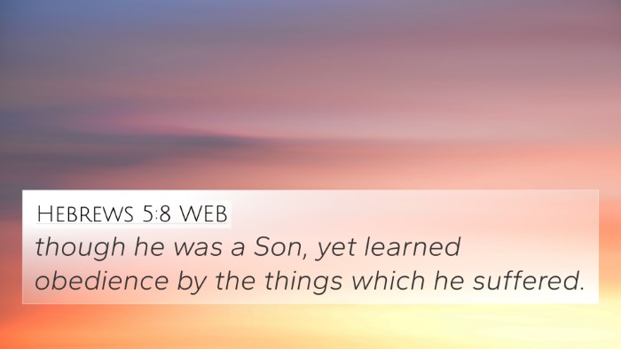 Hebrews 5:8 WEB Bible Verse Image