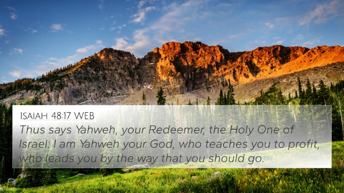 Isaiah 48:17 WEB Bible Verse Image