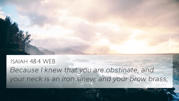 Isaiah 48:4 WEB Bible Verse Image