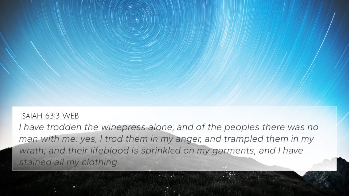 Isaiah 63:3 WEB Bible Verse Image