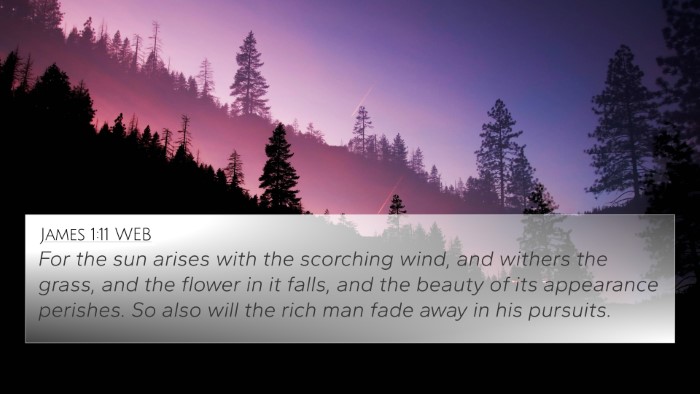 James 1:11 WEB Bible Verse Image