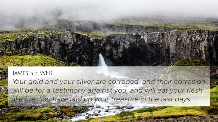 James 5:3 WEB Bible Verse Image
