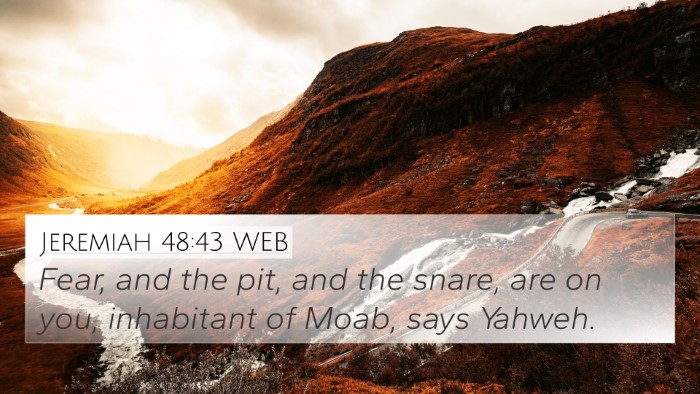 Jeremiah 48:43 WEB Bible Verse Image