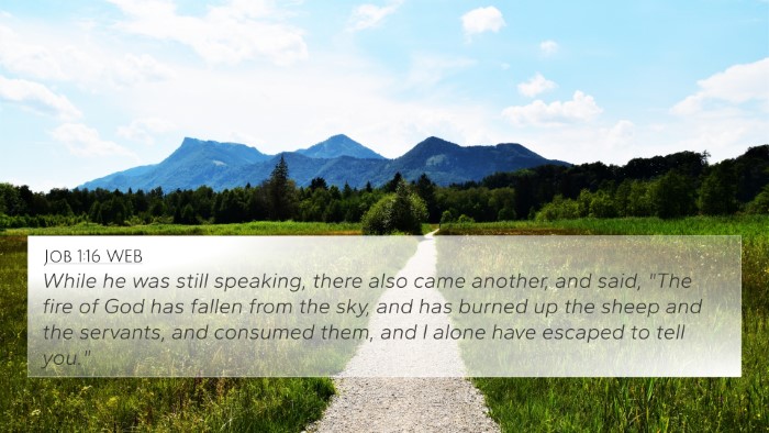Job 1:16 WEB Bible Verse Image
