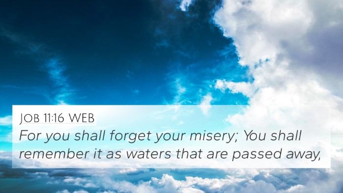 Job 11:16 WEB 4K Wallpaper - For you shall forget your misery; You shall - 4K Wallpaper Bible Verse