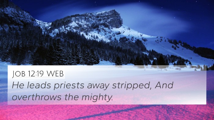 Job 12:19 WEB Bible Verse Image
