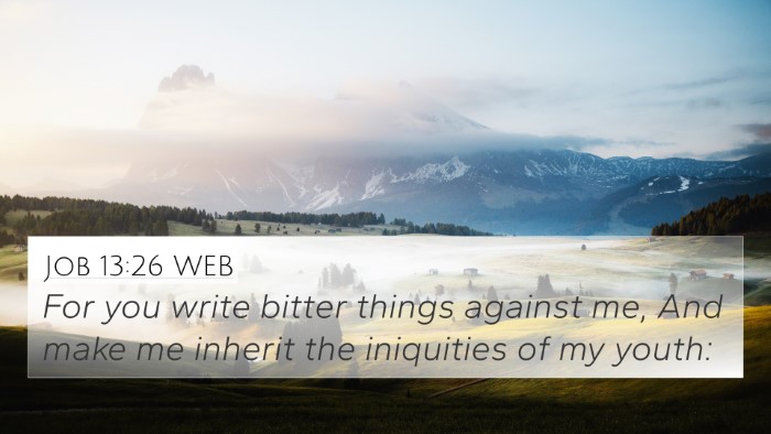 Job 13:26 WEB Bible Verse Image