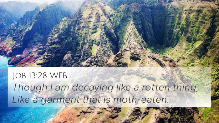 Job 13:28 WEB Bible Verse Image