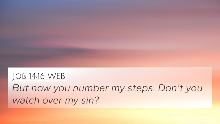 Job 14:16 WEB Bible Verse Image