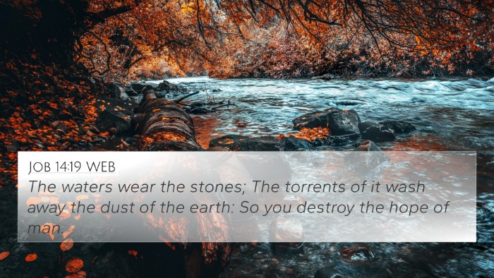 Job 14:19 WEB Bible Verse Image