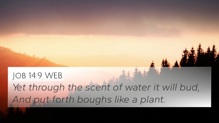 Job 14:9 WEB 4K Wallpaper - Yet through the scent of water it will bud, And - 4K Wallpaper Bible Verse