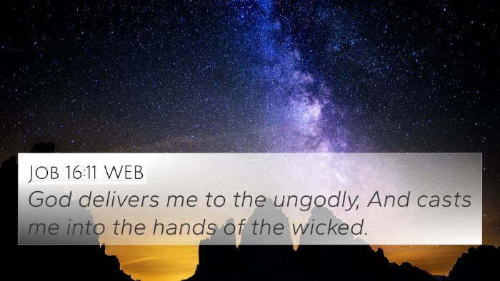 Job 16:11 WEB Bible Verse Image