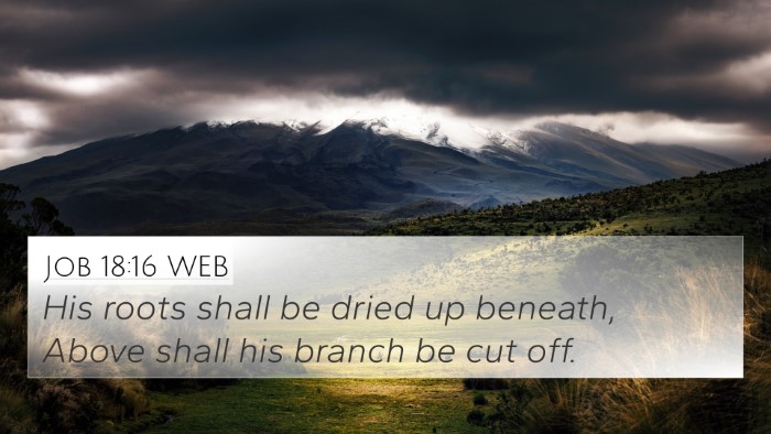 Job 18:16 WEB Bible Verse Image