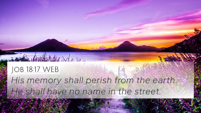 Job 18:17 WEB Bible Verse Image
