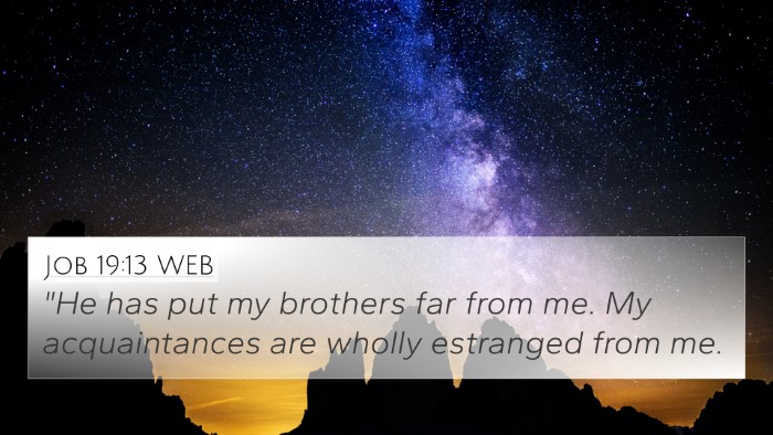 Job 19:13 WEB Bible Verse Image