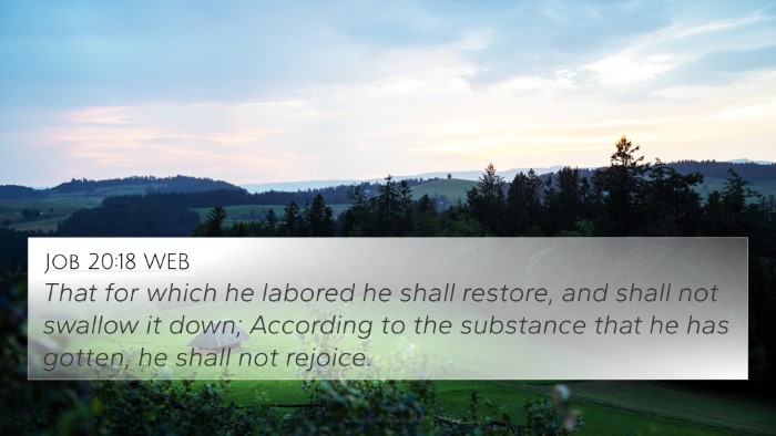 Job 20:18 WEB Bible Verse Image