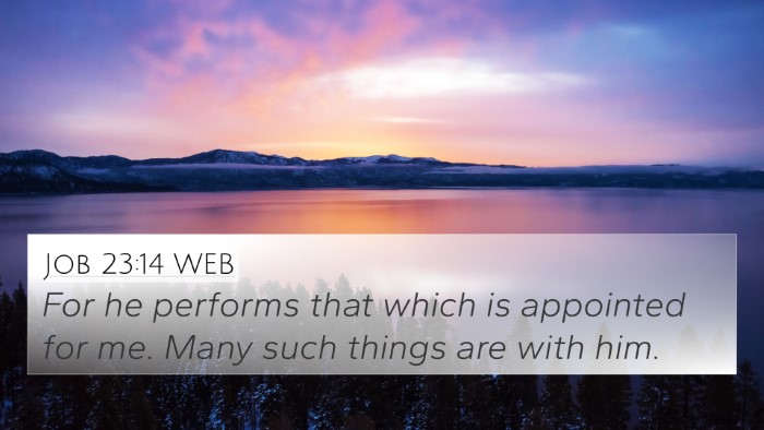 Job 23:14 WEB 4K Wallpaper - For he performs that which is appointed for me. - 4K Wallpaper Bible Verse