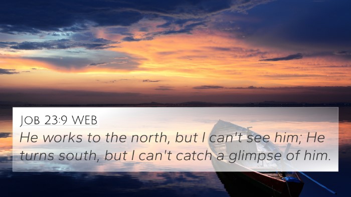 Job 23:9 WEB Bible Verse Image