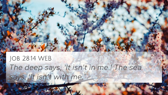 Job 28:14 WEB Bible Verse Image