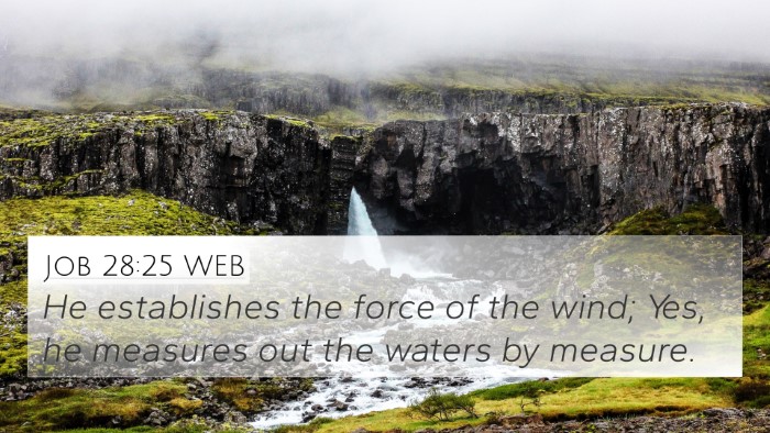 Job 28:25 WEB Bible Verse Image