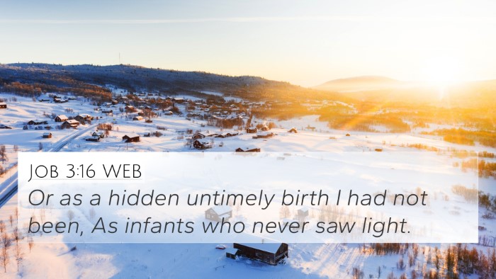 Job 3:16 WEB 4K Wallpaper - Or as a hidden untimely birth I had not been, As - 4K Wallpaper Bible Verse
