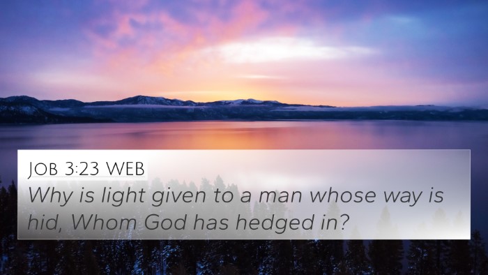 Job 3:23 WEB Bible Verse Image