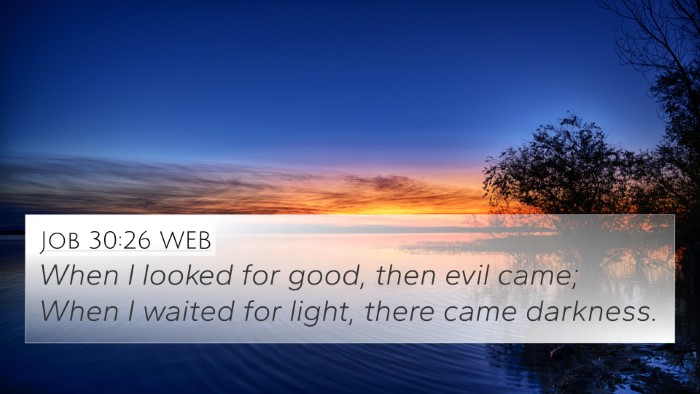 Job 30:26 WEB Bible Verse Image