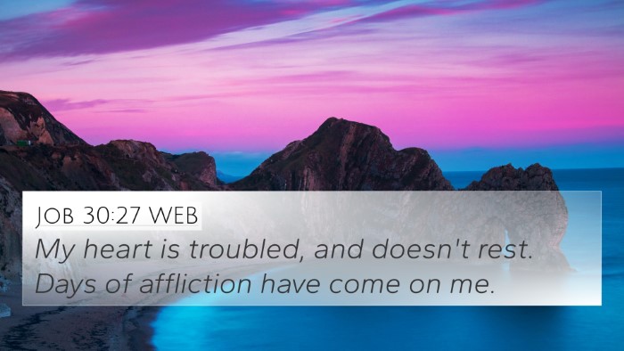 Job 30:27 WEB Bible Verse Image
