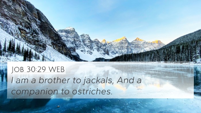 Job 30:29 WEB Bible Verse Image
