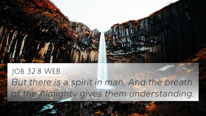 Job 32:8 WEB Bible Verse Image