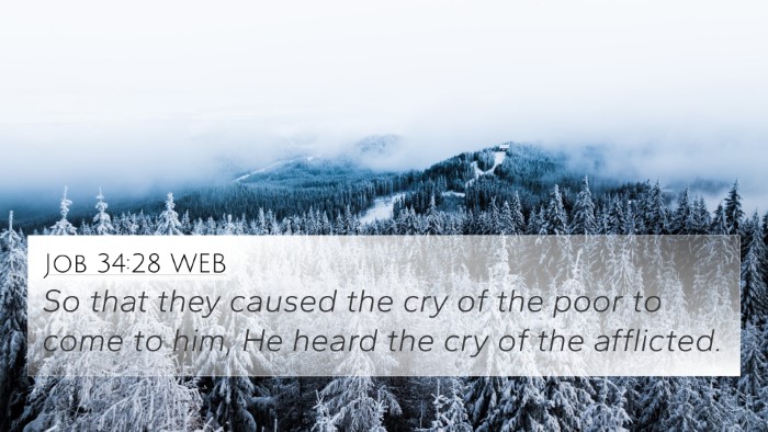 Job 34:28 WEB Bible Verse Image