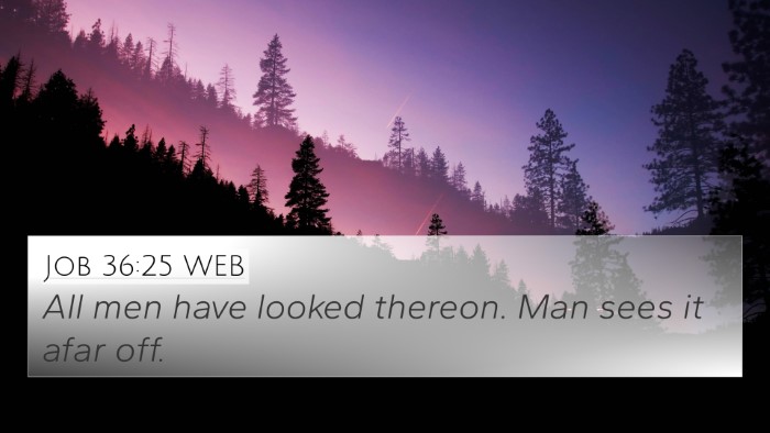 Job 36:25 WEB 4K Wallpaper - All men have looked thereon. Man sees it afar - 4K Wallpaper Bible Verse