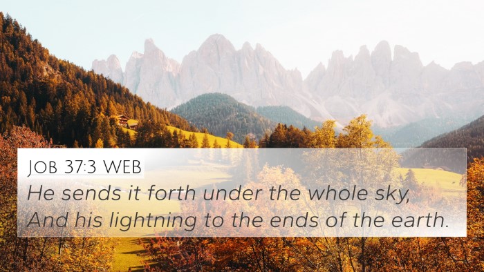 Job 37:3 WEB Bible Verse Image