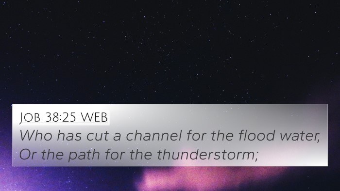 Job 38:25 WEB Bible Verse Image